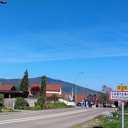 Gite Le Marronnier - Au Calme - Parking & Terrasse - Pres De Colmar Et Riquewihr - Route Des Vins Châtenois 外观 照片