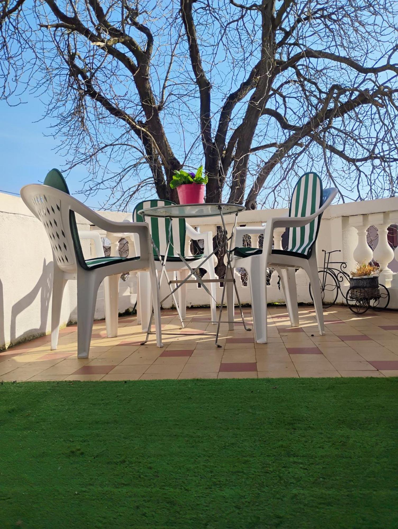 Gite Le Marronnier - Au Calme - Parking & Terrasse - Pres De Colmar Et Riquewihr - Route Des Vins Châtenois 外观 照片