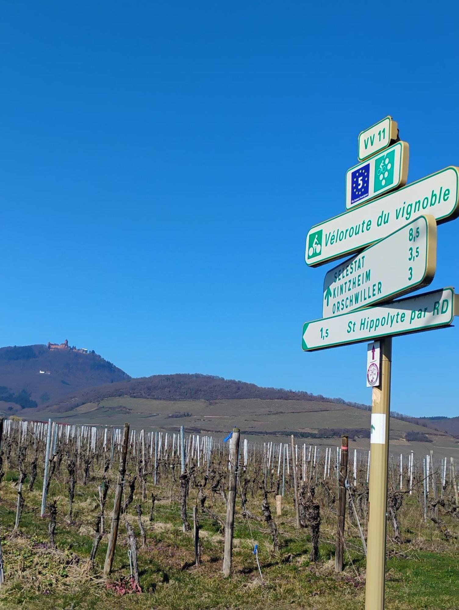 Gite Le Marronnier - Au Calme - Parking & Terrasse - Pres De Colmar Et Riquewihr - Route Des Vins Châtenois 外观 照片