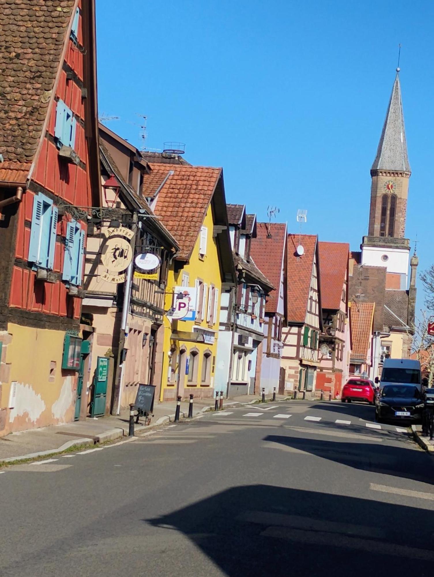 Gite Le Marronnier - Au Calme - Parking & Terrasse - Pres De Colmar Et Riquewihr - Route Des Vins Châtenois 外观 照片