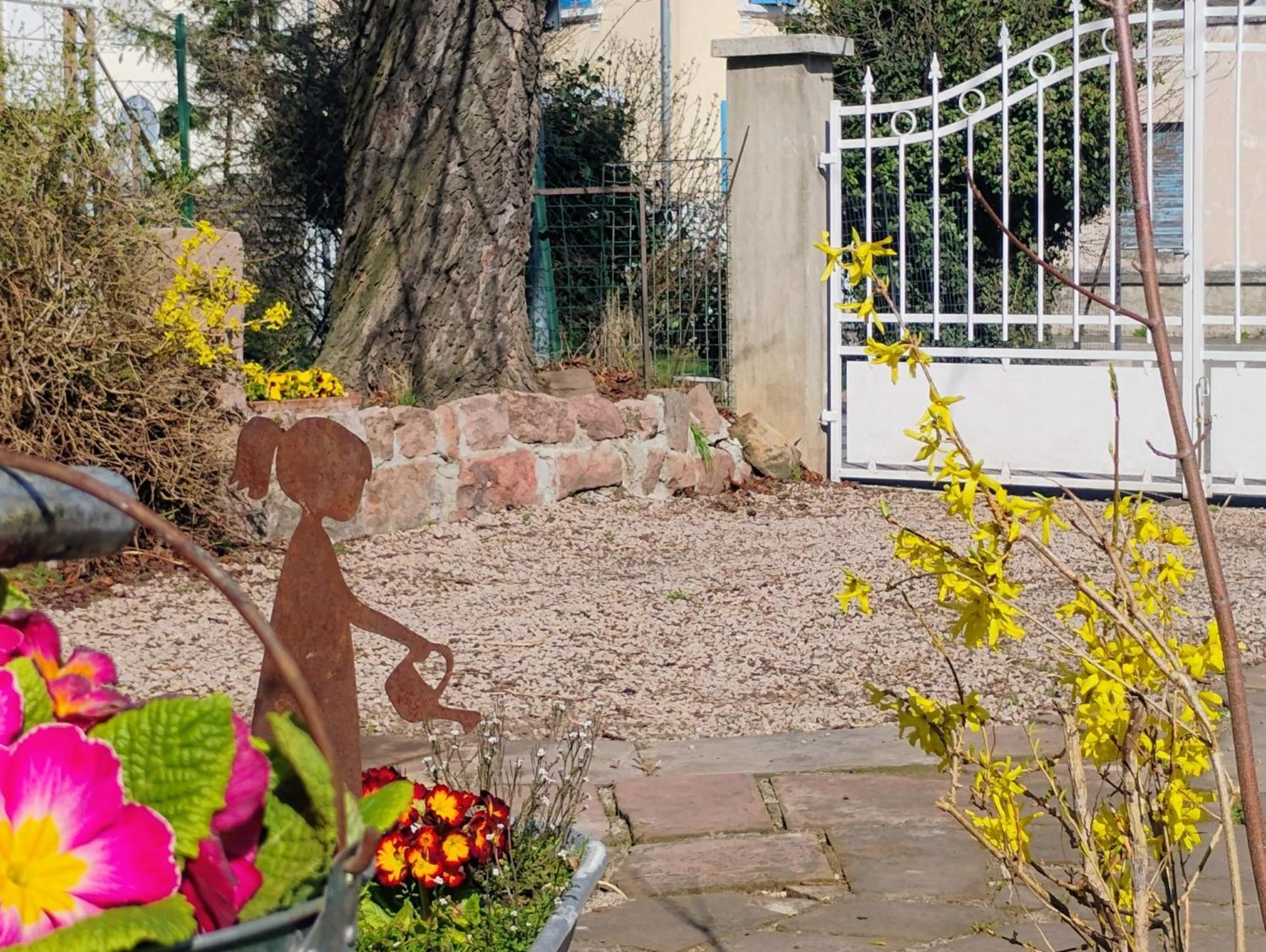 Gite Le Marronnier - Au Calme - Parking & Terrasse - Pres De Colmar Et Riquewihr - Route Des Vins Châtenois 外观 照片