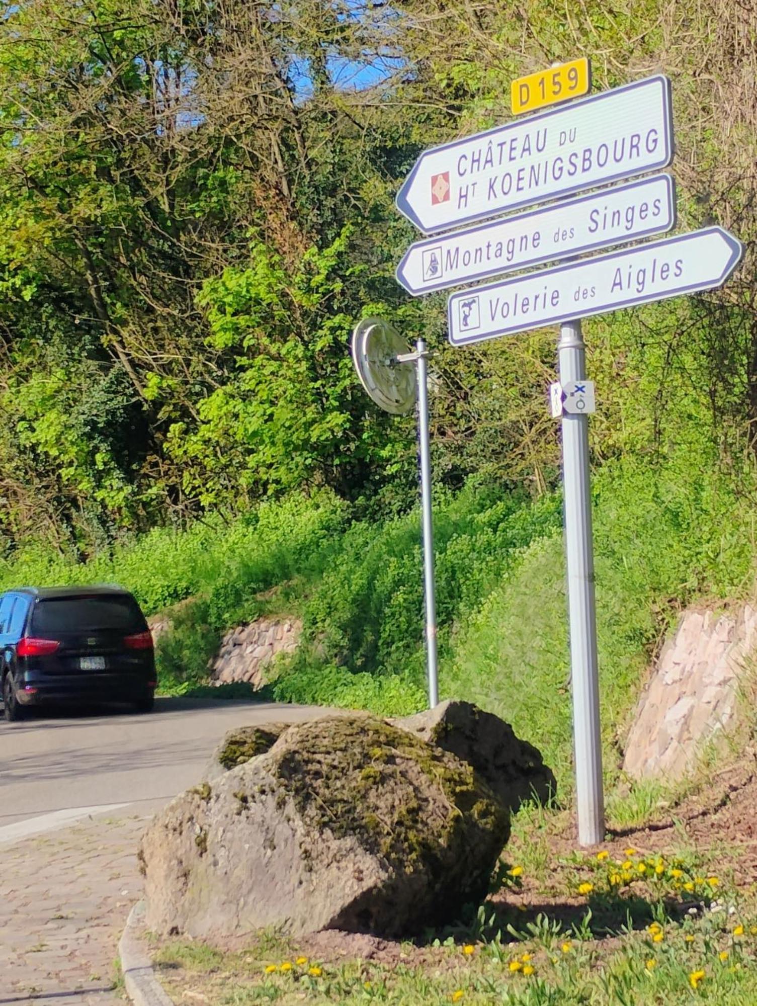 Gite Le Marronnier - Au Calme - Parking & Terrasse - Pres De Colmar Et Riquewihr - Route Des Vins Châtenois 外观 照片