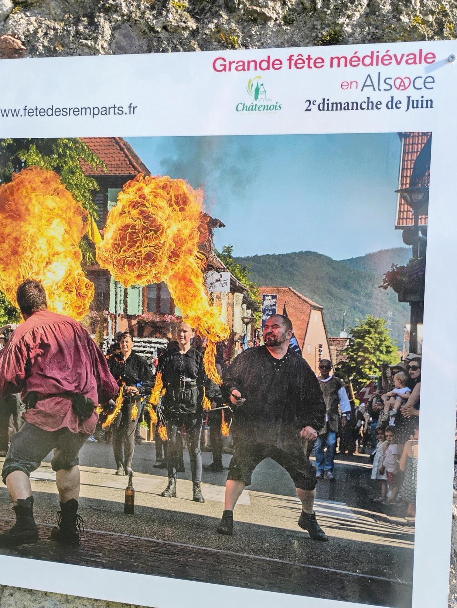 Gite Le Marronnier - Au Calme - Parking & Terrasse - Pres De Colmar Et Riquewihr - Route Des Vins Châtenois 外观 照片