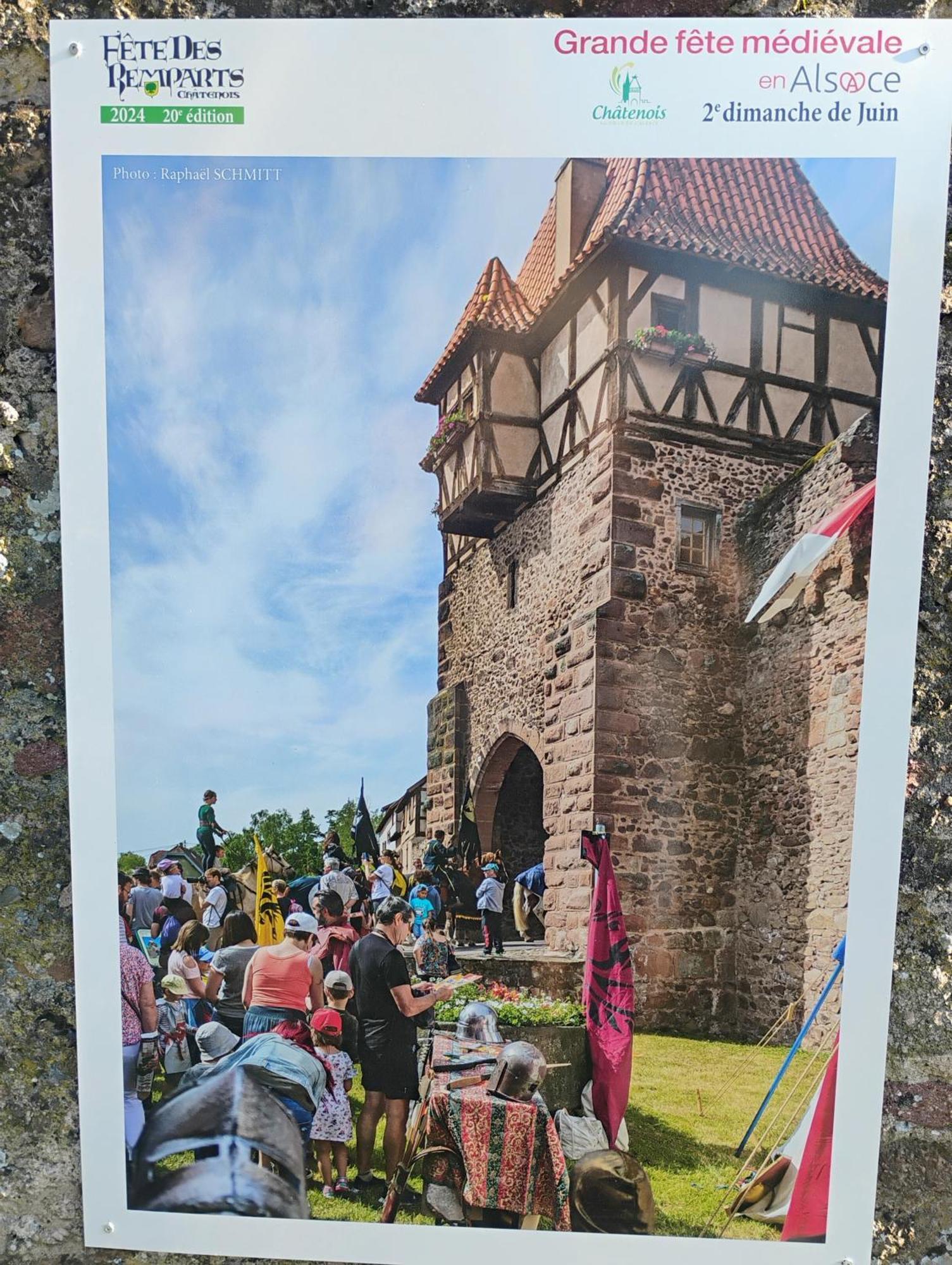 Gite Le Marronnier - Au Calme - Parking & Terrasse - Pres De Colmar Et Riquewihr - Route Des Vins Châtenois 外观 照片